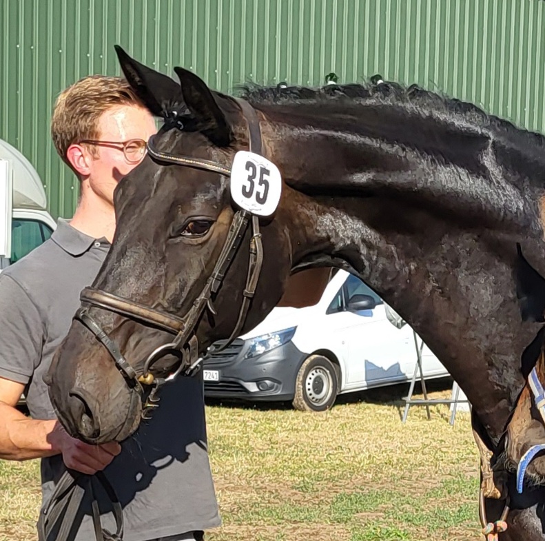 Dieda – Hof Immenkath